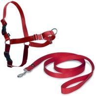 Arnés Easy Walk para Perros Mediano Rojo