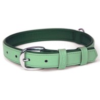 Collar Summertime Nº2 Menta Accesorio Elegante para Mascotas