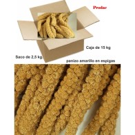 Panizo En Espigas 15 Kg Golosina Nutritiva Para Aves