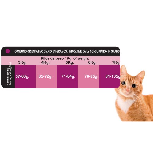 Proct-cat Adult Chicken 4 Kg Alimento Completo