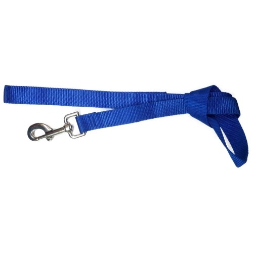 Smooth Nylon Leash Blue 20mm x 110cm