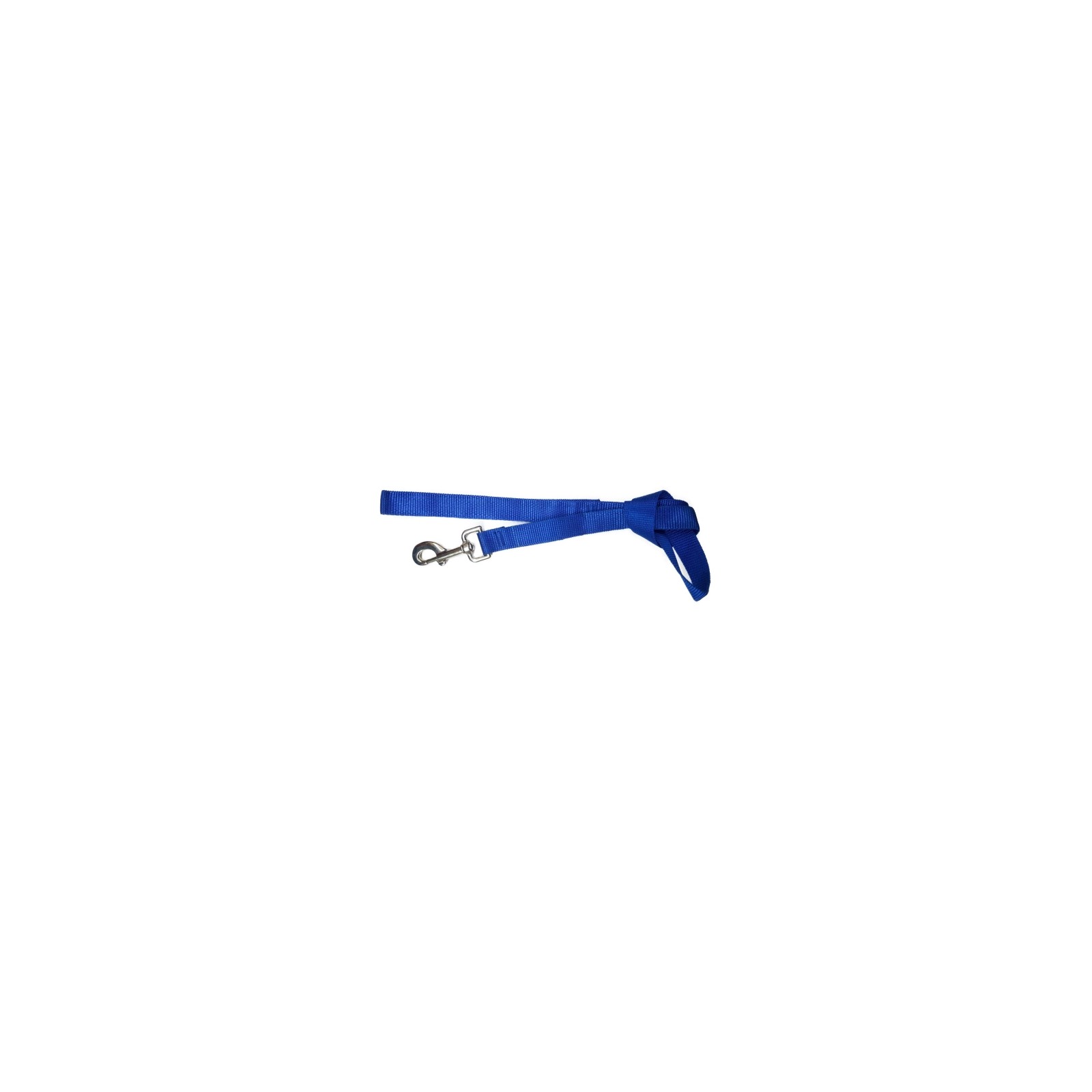 Smooth Nylon Leash Blue 20mm x 110cm