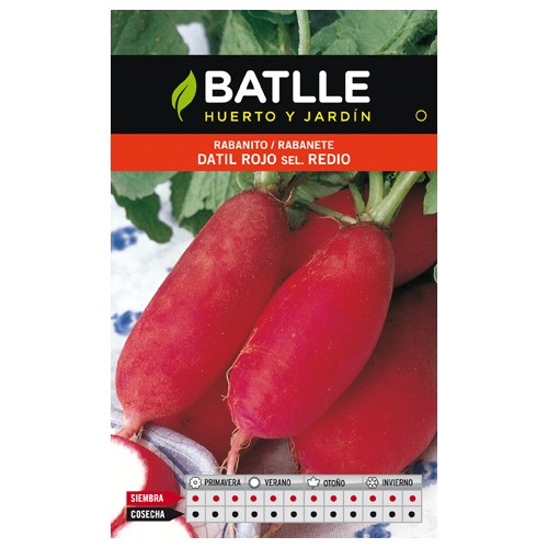 Red Date Radish Seed Packet Easy Cultivation