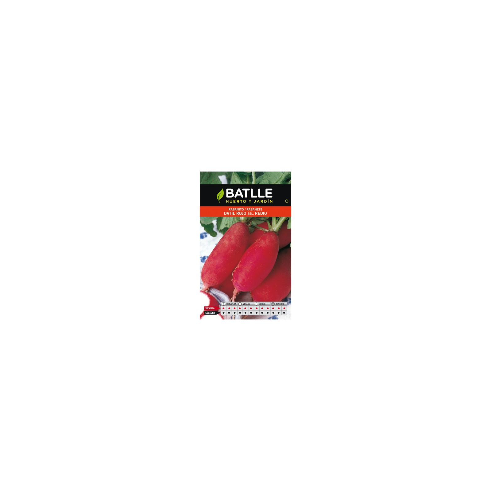 Red Date Radish Seed Packet Easy Cultivation