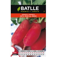 Red Date Radish Seed Packet Easy Cultivation