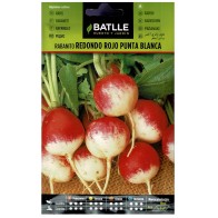 Round Red White Tip Radish Seed Pack