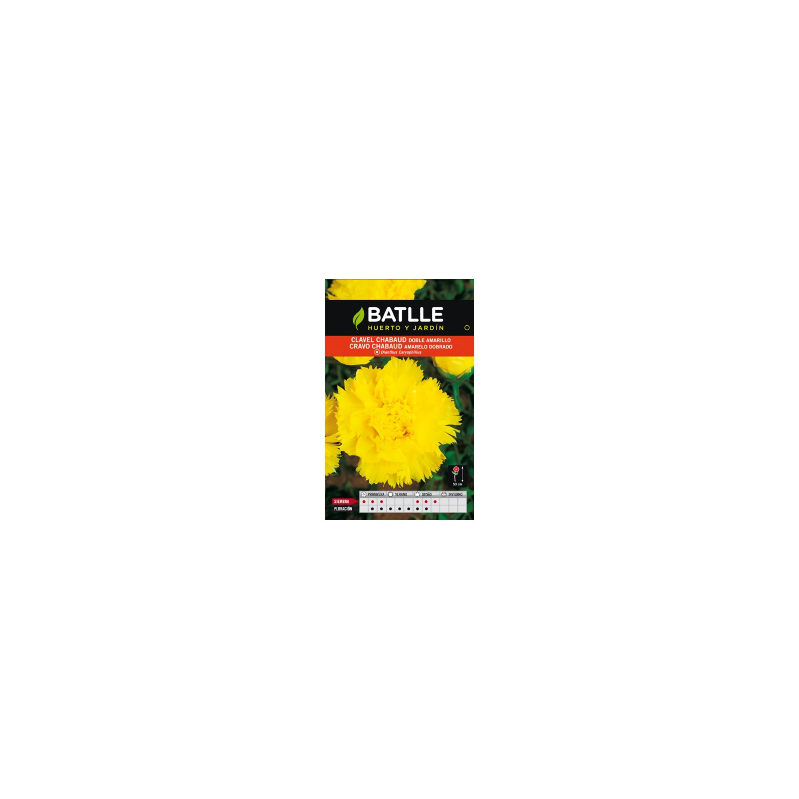 Clavel Chabaud Doble Amarillo Sobre para Jardines Coloridos