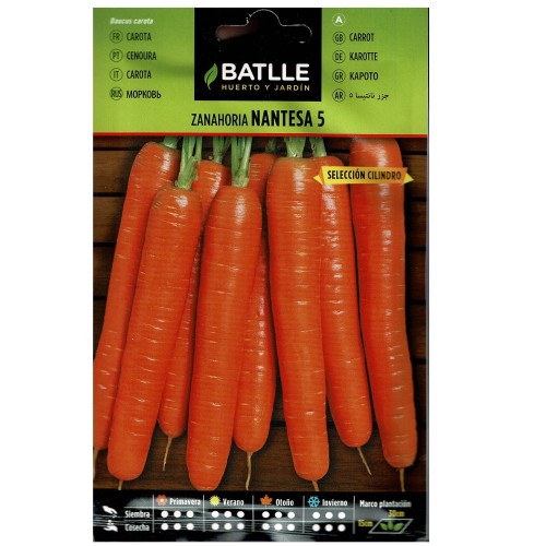 Nantes Carrot Seeds Premium Quality