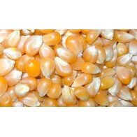 High Quality National Corn 5Kg