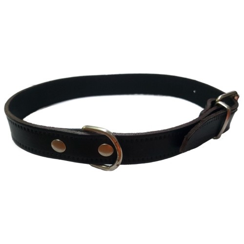 Collar de Cuero Liso Negro 35x1.5cm para Perros