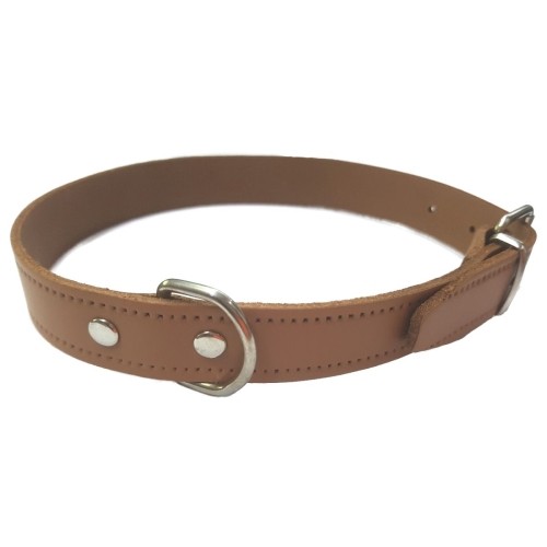 Plain Black Leather Collar 35x1.5cm for Dogs