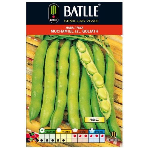 Muchamiel Broad Bean Goliath 1kg