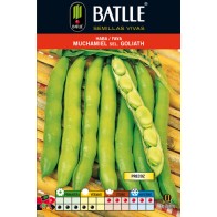 Muchamiel Broad Bean Goliath 1kg