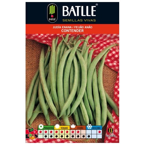 Contender Green Bean Seeds 100g Dwarf - Excellent Quality