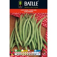 Contender Green Bean Seeds 100g Dwarf - Excellent Quality