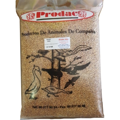 5 Kg Wheat for Animals and Humans