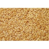 Peeled Oats Vinci 5 Kg