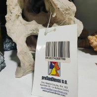 Two Hole Rock for Aquariums