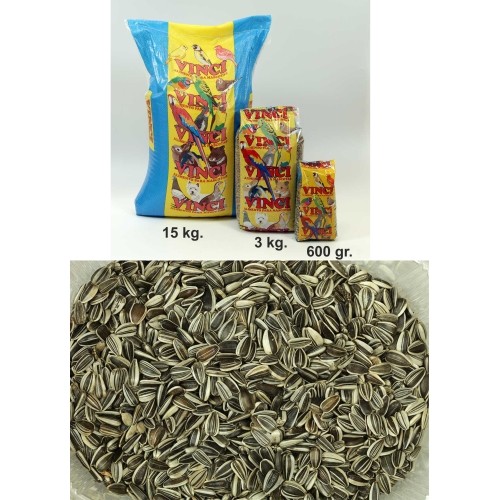 Iregui Sunflower Seeds 15 Kg