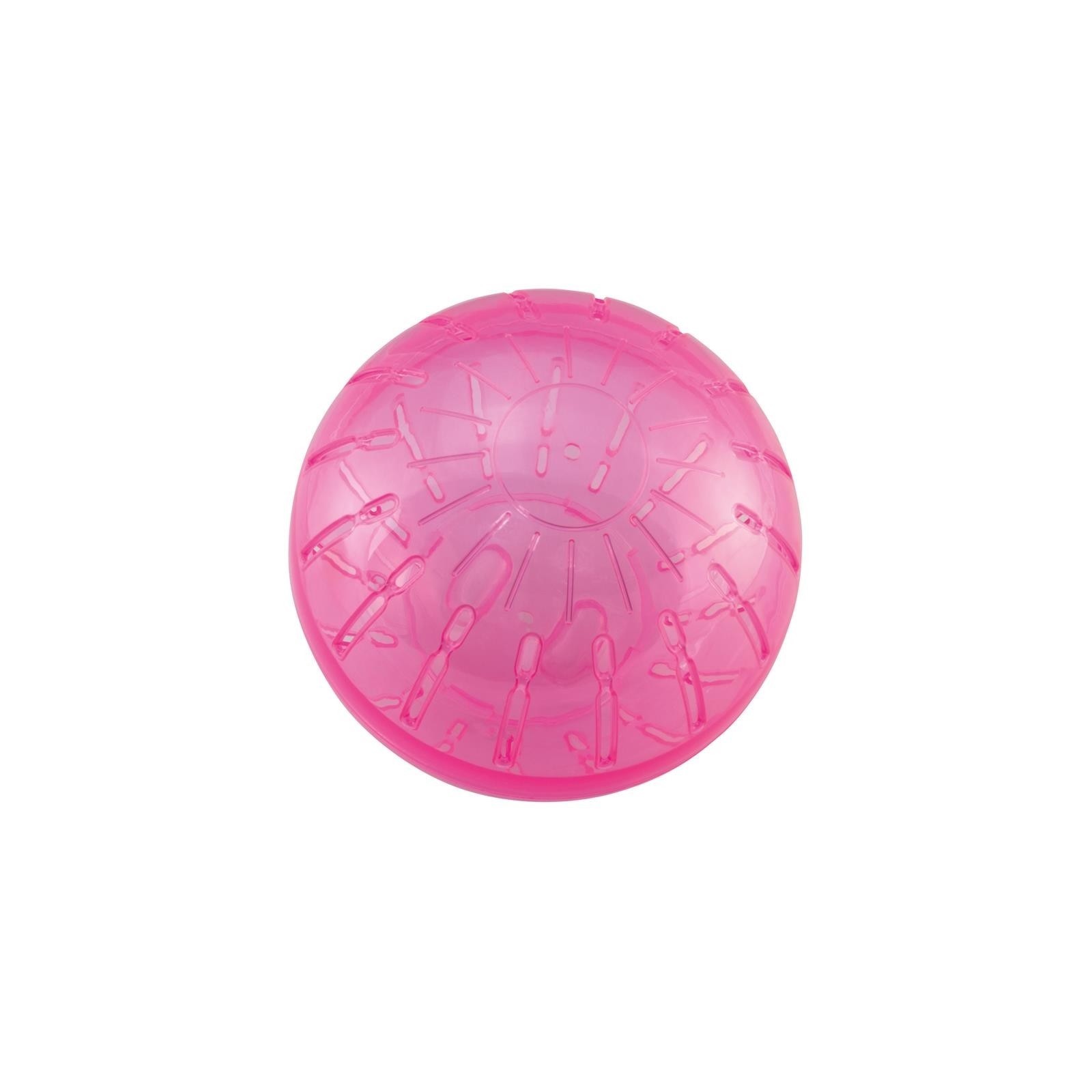 Rodent Activity Ball 19 cm