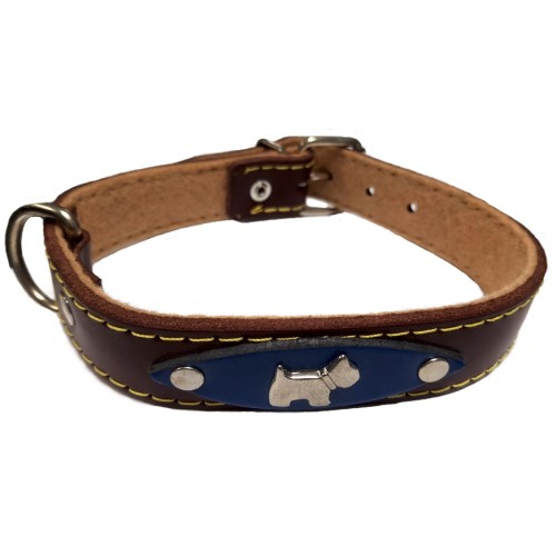 Blue Leather Collar Alamo 55cm - Fashionable and Durable