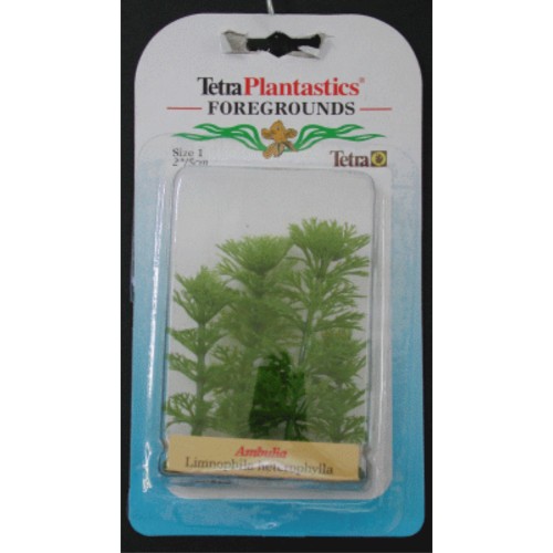 Ambulia Foreground Plant 5 Cm