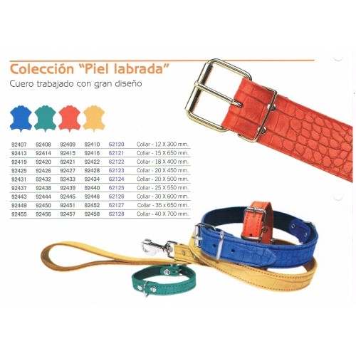 Elegante Collar Piel Labrado 12x300 Verde para Mascotas