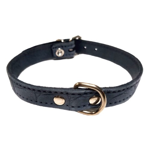 Braided Leather Collar for Mini Breeds