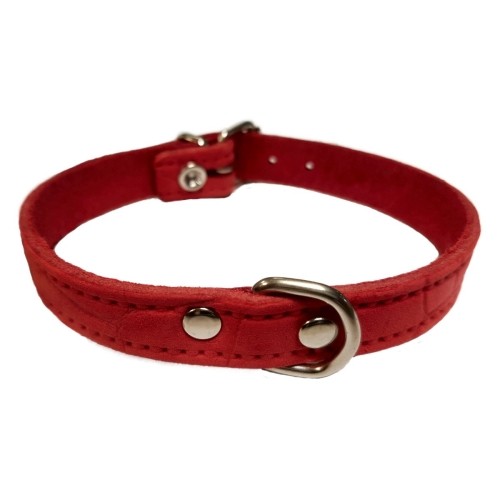 Braided Leather Collar for Mini Breeds