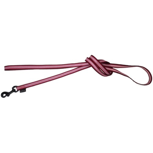 Majestic Nylon Leash 10x1200mm for Daily Walks