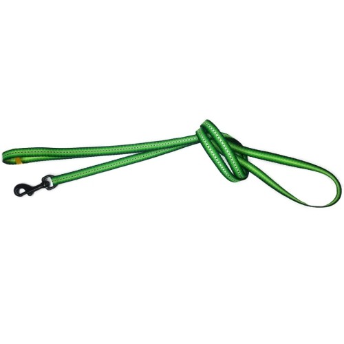 Majestic Nylon Leash 10x1200mm for Daily Walks