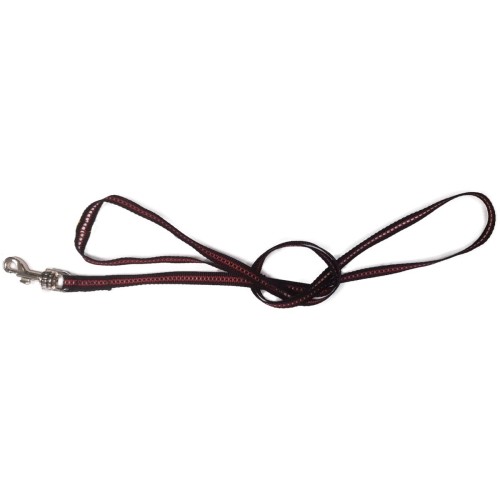 Majestic Nylon Leash 10x1200mm for Daily Walks