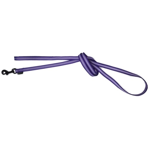 Majestic Nylon Leash 10x1200mm for Daily Walks