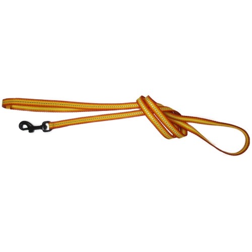 Majestic Nylon Leash 10x1200mm for Daily Walks