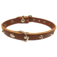 Decorative Pet Collar 25x550mm Natural