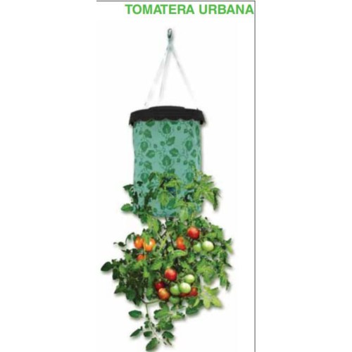 Urban Tomato Planter Optimal for Small Spaces