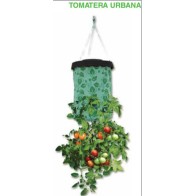 Tomatera Urbana Ideal para Espacios Pequeños