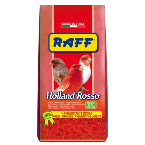 Raff Holland Rosso 300g for canaries