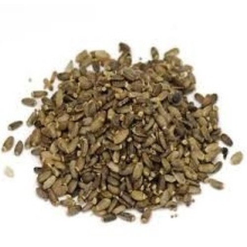 Milk Thistle Seeds 25 Kg