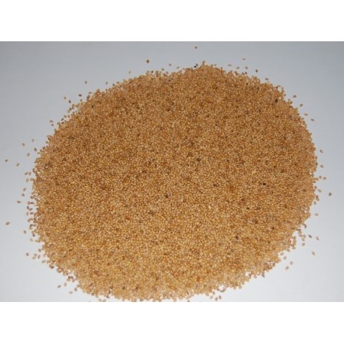 Panizo en Grano Bote 500g - Prodac