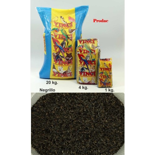 Niger Seed 1 Kg for Granivorous Birds