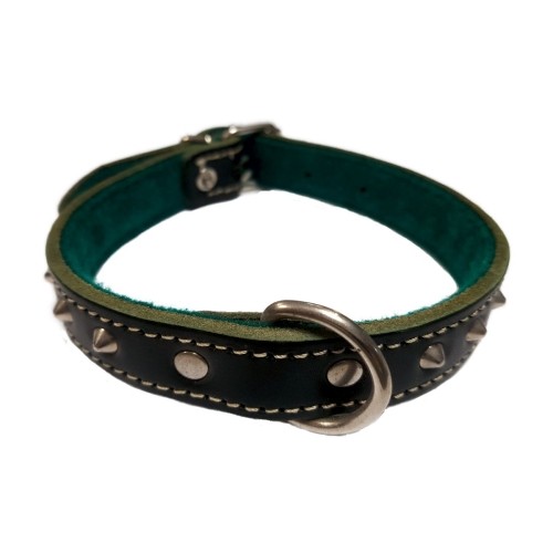 Green Adorned Collar 20x450cm for Pets