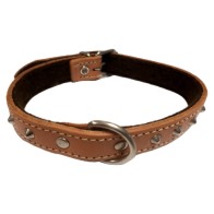 Decorative Pet Collar with Adornment