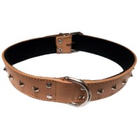 Brown Decorative Collar 20x450mm