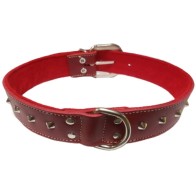 Collar with Adornment 20x500mm Red