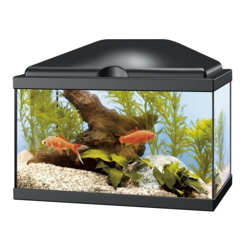 Acuario Aqua 20 Led Negro