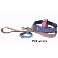 Braided Leather Leash for Dogs