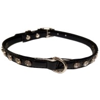 Collar Brillante Negro 10x300mm