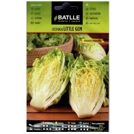 Little Gem Lettuce Seeds - Sweet and Crunchy