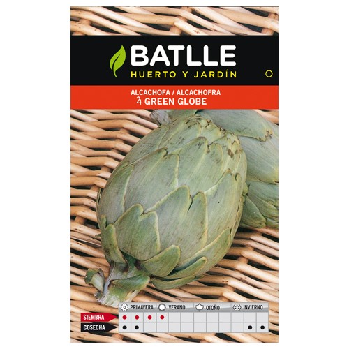 Green Globe Artichoke Planting Guide